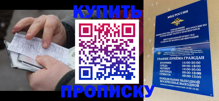 временная регистрация недорого в Зее